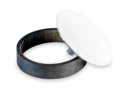 Conjunto de anel e disco